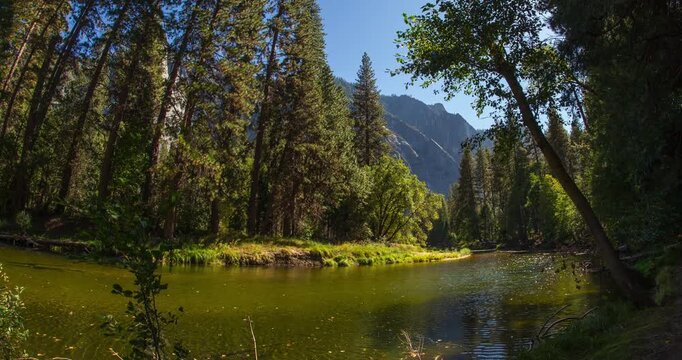 Verdant Yosemite Valley &ndash; Peaceful River Flow Timelapse Through Lush Green Forest