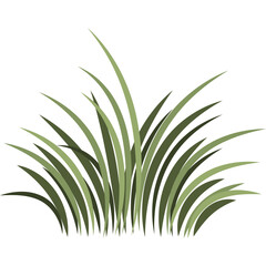 Various Hand Drawn Green Grass and Bush Elements with Transparent Background Isolated on White