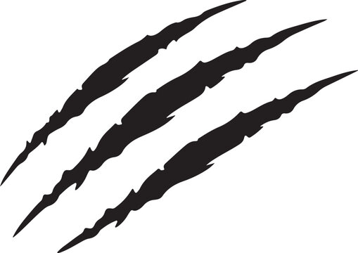 Claw scratches silhouette vector, Animal claw marks illustration. Tiger, bear, lion scratches sign