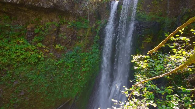 A beautiful and dramatic view of Elowah Falls (historically Ecola Falls), a magnificent single-plunge waterfall cascading nearly 290 feet over a sheer basalt cliff