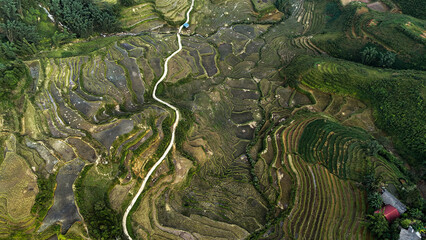 Aerial view of rice terraces carved into a lush green hillside. Captures the beauty of agricultural landscapes and traditional farming.