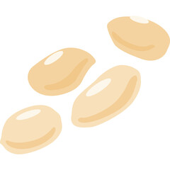 Vector Illustration of Four Light Brown Peanut Beans with Glossy Sheen Isolated on Transparent White Background