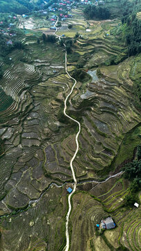 Aerial view of rice terraces carved into a lush green hillside. Captures the beauty of agricultural landscapes and traditional farming.