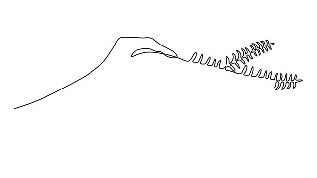 Abstract hand holding a fir tree branch, Self drawing animation one continuous line draw, logo on white background