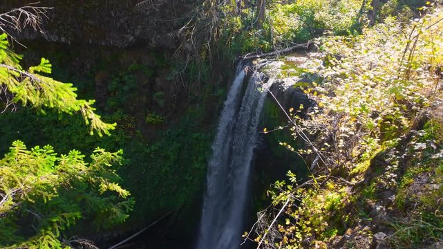 A beautiful and dramatic view of Elowah Falls (historically Ecola Falls), a magnificent single-plunge waterfall cascading nearly 290 feet over a sheer basalt cliff
