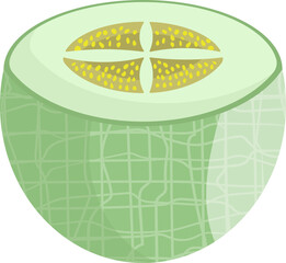 Green Melon Half Slice with Seeds - Fresh Fruit Vector Illustration