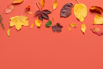 Composition with different autumn leaves on orange background