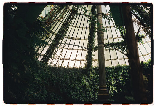 Greenhouse