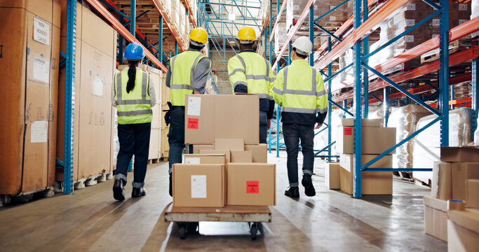 Logistics, boxes or people with cart in warehouse for package delivery, transport stock or teamwork. Shipping picker, back of group and walking with trolley for inventory export and backlog control