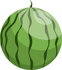 Fresh Whole Watermelon Cartoon Illustration. Green Striped Summer Fruit Graphic. Healthy Food Icon.