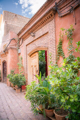 A door covered in the ivy in Kashgar, Xinjiang, China, copy space for text