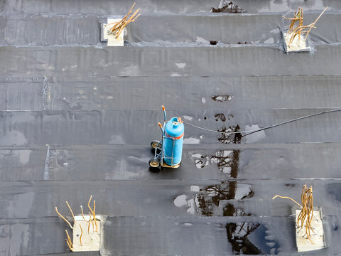 Blue Gas Cylinder and Wick Rebars on Black Waterproofing Membrane