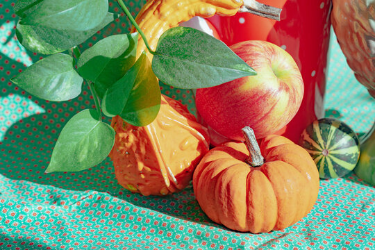 Fall decorations with pumpkins and fruits on table