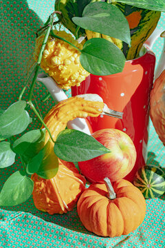 Colorful gourds and fresh apples in autumn display