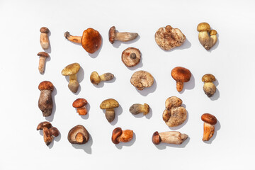 Composition with different autumn mushrooms on white background