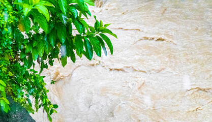 Tropical green river canal drainage during heavy rainfall in Thailand.