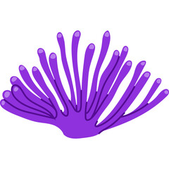 Vibrant Purple Coral Reef Element Underwater Marine Life Isolated On Transparent Background