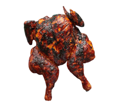 whole grilled chicken isloated 