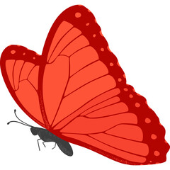 Vibrant Red Butterfly With Detailed Wing Patterns Isolated on Transparent Background