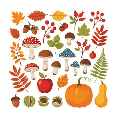 Hand-Drawn Autumn Elements Vector Set – Fall Leaves, Mushrooms, Acorns, Berries, Pumpkins, and Harvest Stickers © Uttpol Saha