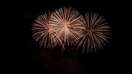 Fototapeta premium Graceful and Elegant Fireworks in the Night Sky with Seamless Color Blending