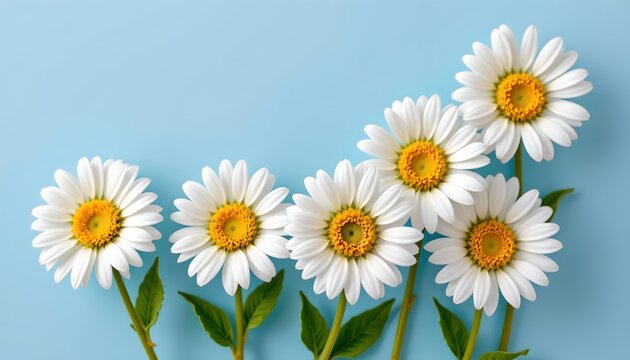 Delightful Daisies Arrangement Light Blue Background