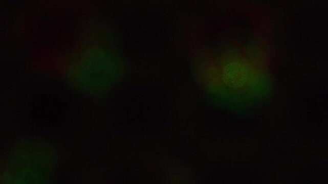 Holiday lights are shining, boken video
