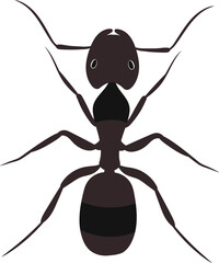 Vector Illustration of an Ant Detailed Black Ant Insect Drawing for Nature, Pest Control, and Educational Use