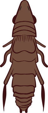 Vector Illustration of a Flea Small Parasitic Insect Drawing for Medical, Veterinary, and Educational Awareness