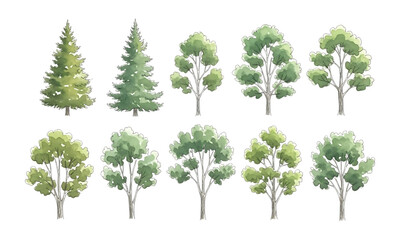 Obraz premium Collection of diverse deciduous and coniferous trees isolated on transparent background