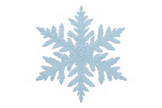 Frozen snowflake displaying intricate crystal structure, symbolizing winter season, cold temperatures, christmas, and ice