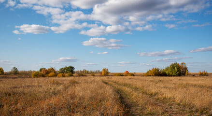 A path leads through a field of dry grass towards trees with autumnal colors, under a dynamic sky punctuated by fluffy clouds, encapsulating the calm, picturesque charm of the fall season