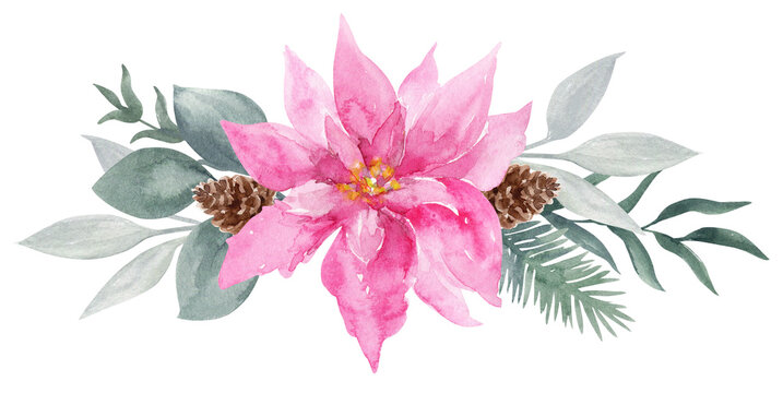 Winter bouquet with pink poinsettia, greenery, cones and pine tree. Watercolor floral arrangement for Christmas design, Border for wedding or New Year's party, invitations or greeting card.