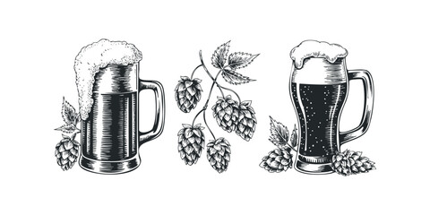 Two Beer Mugs and Hop Cones Illustration