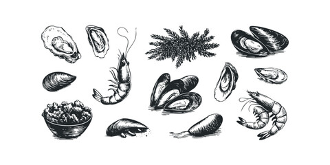 Sketch Collection of Fresh Seafood and Ocean Delicacies