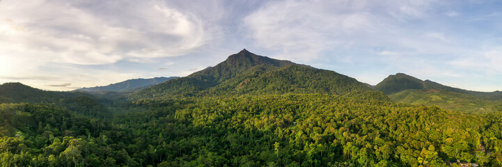 Scenic view of Mount Nambuyukon surrounded by lush tropical rainforest in Serinsim, Kota Marudu, Sabah, Malaysia. Beautiful mountain landscape with rich greenery under blue sky.