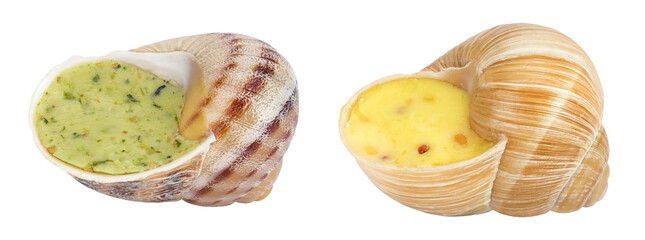 escargot snail filled with garlic and parsley butter isolated on white background