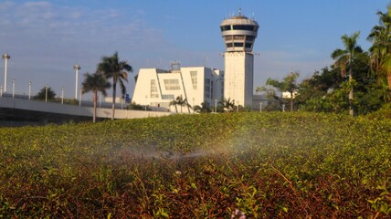 Fototapeta premium Automatic plant waterer is watering green plants and palm trees in sunny park.