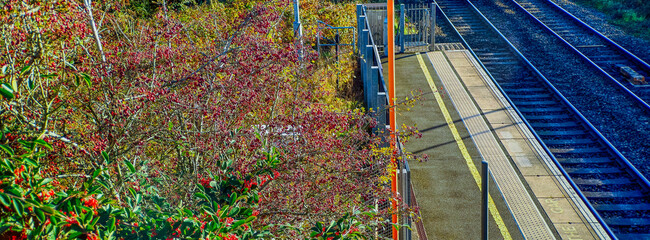 British Rail Great British Railways Diesel powered English commuter passenger suburban rural railway station