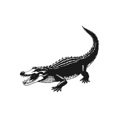 vector illustration of a crocodile