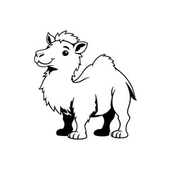 camel vector illustration