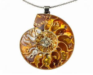 ammonit pendant