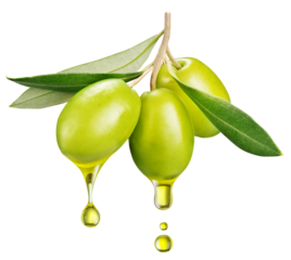 Green olives on olive tree branch with oil drops isolated on a white background. Clipping path.