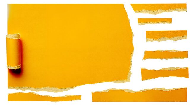 Add a unique touch with torn paper edges and curled corner, perfect for scrapbook layouts, collage art, or adding textured elements to your creative projects.