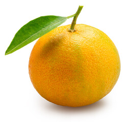 Yellow tangerine fruit with green leaf isolated on white background. File contains clipping path.