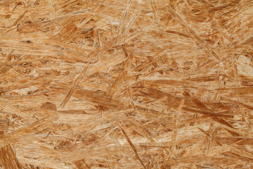 Brown background with wood grain. The wood grain is visible in the background and the foreground. The background is a mix of brown and tan colors