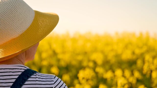 Rear view of female farmer with straw hat standing in blooming rapeseed field and looking into distance at the horizon, 4K