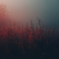 Cool minimalist ambient music album cover