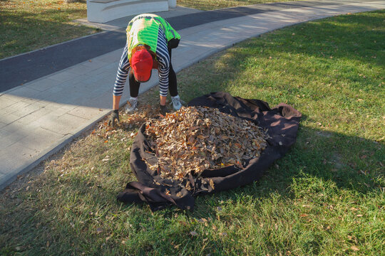 Person is raking leaves in a yard