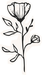 Minimalist Plant Illustration Cutout Paper. Wild forest herbs and flowers vintage textured chalk drawing sketch